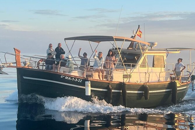 2-Hour Excursion in Search of Dolphins/ Includes Drink and Snacks - Leaving From Estepona Marina