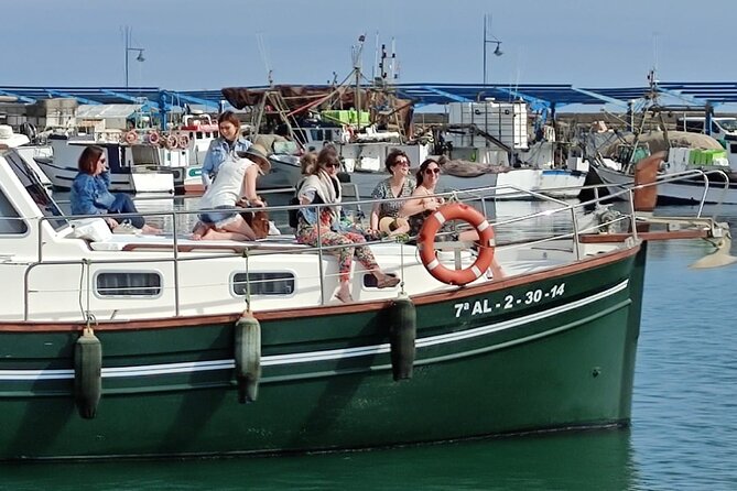2-Hour Excursion in Search of Dolphins/ Includes Drink and Snacks - Drinks, Snacks, and the Sea Swim