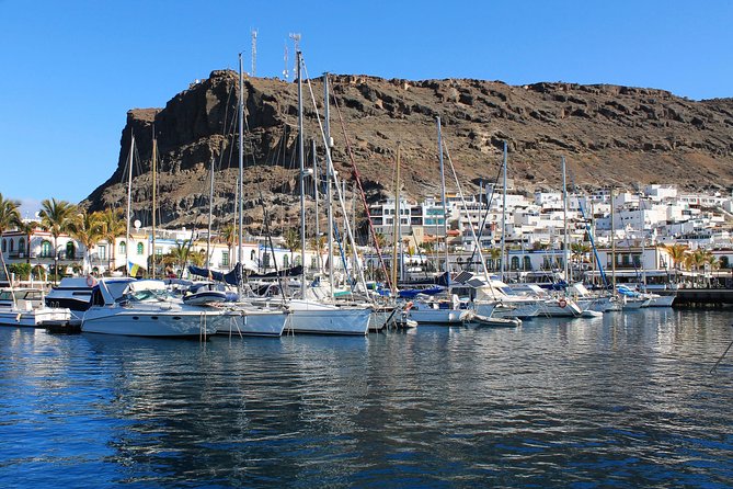 3h Boat Trip + Snorkeling in Puerto de Mogan - How the timing works for families and mixed groups