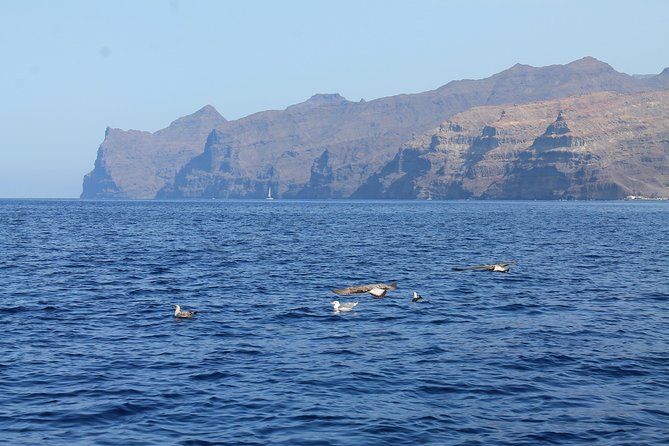 3h Boat Trip + Snorkeling in Puerto de Mogan - Is $71.35 a fair price?