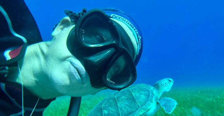 Abades: Guided Snorkeling Tour with Photos - What The Two Hours Actually Look Like
