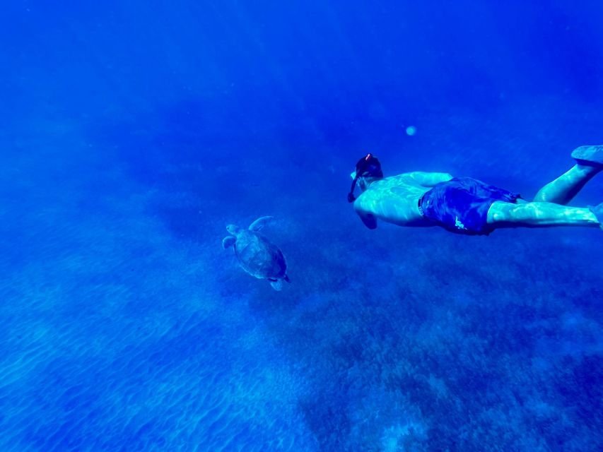 Abades: Guided Snorkeling Tour with Photos - A Good Introduction For Nervous Swimmers