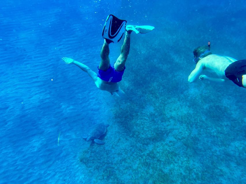 Abades: Guided Snorkeling Tour with Photos - The Guides Make The Difference
