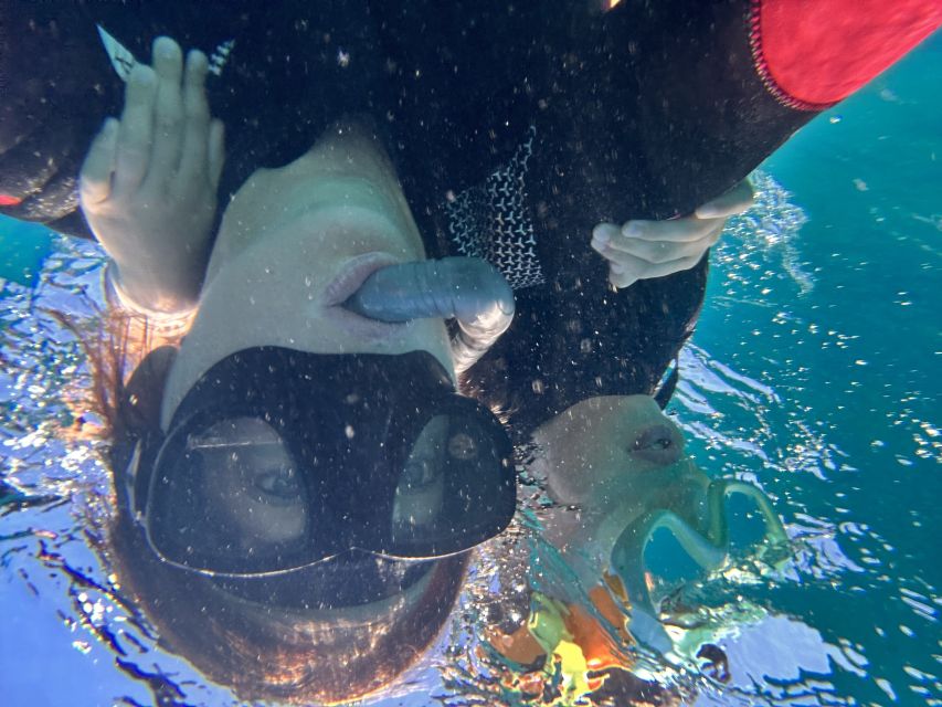 Abades: Guided Snorkeling Tour with Photos - Photos, Videos, And The Real Value Of $35