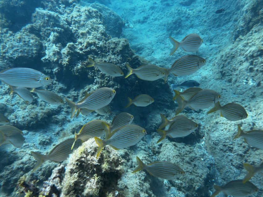 Abades: Guided Snorkeling Tour with Photos - Practical Details Before You Go