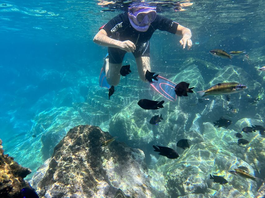 Abades: Guided Snorkeling Tour with Photos - Who Should Book This Tour?