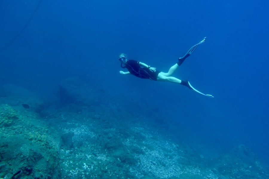 Abades: Guided Snorkeling Tour with Photos - Why Playa Abades Works For Snorkeling