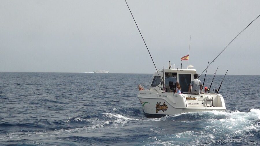 Adeje: 3.5–Hour Professional Fishing Experience - Key points to know before booking
