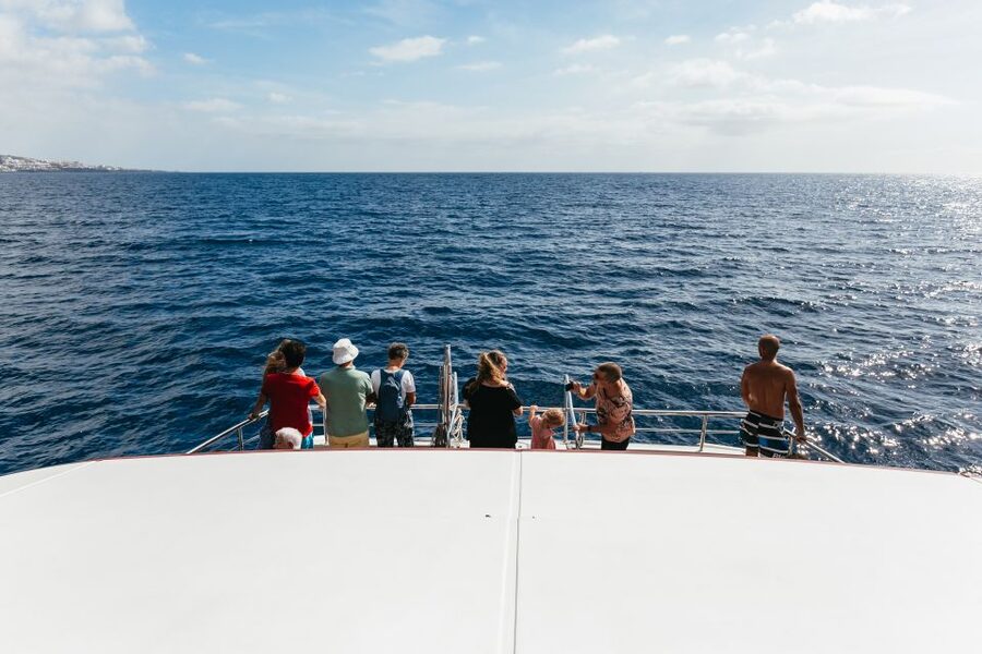 Adeje: Whale and Dolphin Watching Cruise with Lunch and Swim - The Royal Delfín’s underwater windows
