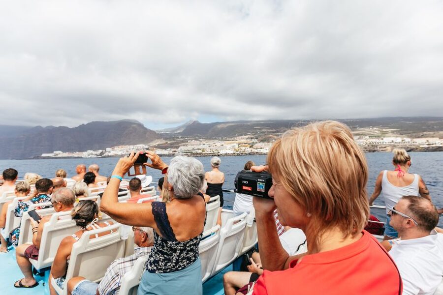 Adeje: Whale and Dolphin Watching Cruise with Lunch and Swim - A 40-minute swim stop with lunch onboard