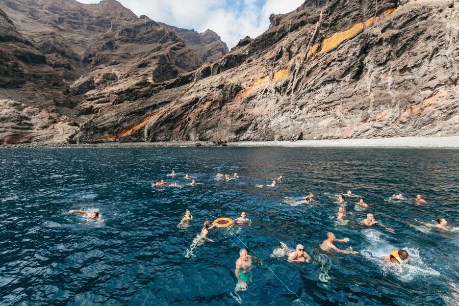 Adeje: Whale and Dolphin Watching Cruise with Lunch and Swim - How much value do you get for $59?