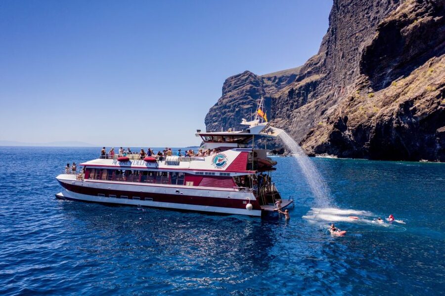 Adeje: Whale and Dolphin Watching Cruise with Lunch and Swim - Who will enjoy this cruise most?