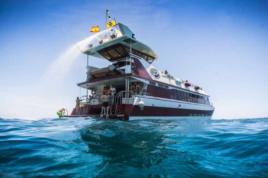 Adeje: Whale and Dolphin Watching Cruise with Lunch and Swim - Choosing Diego Hernandez or Los Gigantes