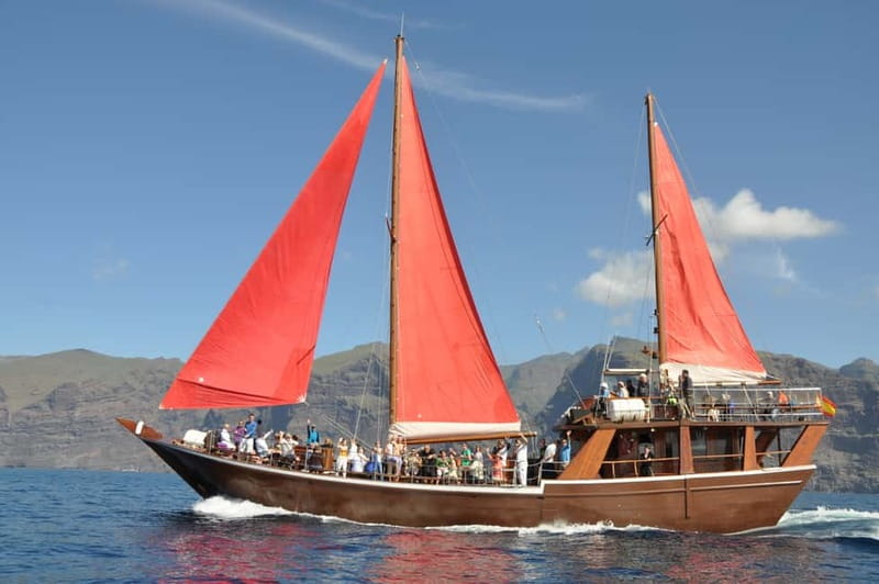 Adeje: Whale Watching Tour to Los Gigantes with lunch & swim - Searching for dolphins and pilot whales