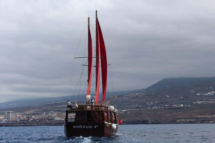 Adeje: Whale Watching Tour to Los Gigantes with lunch & swim - Sailing beneath the Los Gigantes cliffs