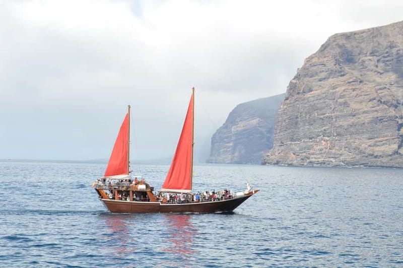 Adeje: Whale Watching Tour to Los Gigantes with lunch & swim - Lunch, drinks, and the swim stop