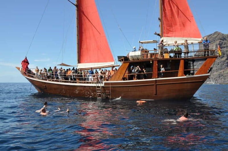 Adeje: Whale Watching Tour to Los Gigantes with lunch & swim - Who will enjoy this excursion most?