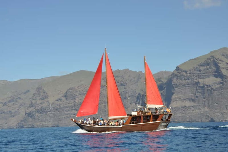 Adeje: Whale Watching Tour to Los Gigantes with lunch & swim - My booking verdict