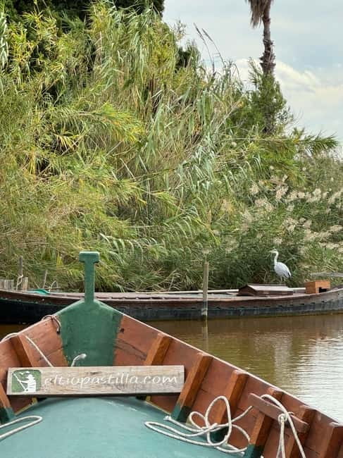 Albufera of Valencia: Guided boat ride around the Albufera - Starting at El Tío Pastilla Wharf