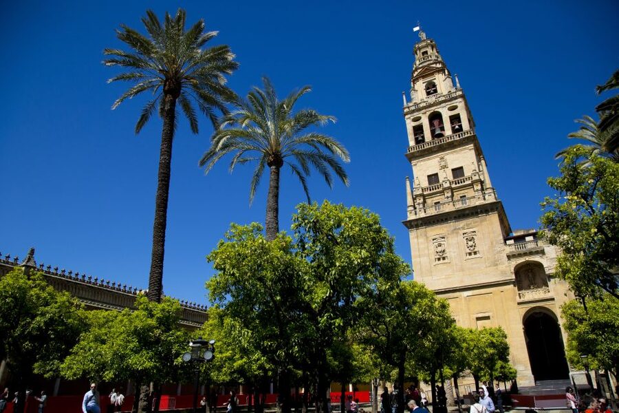 Alcazar of Cordoba Entry Ticket and Guided Tour - Key points to know before you book