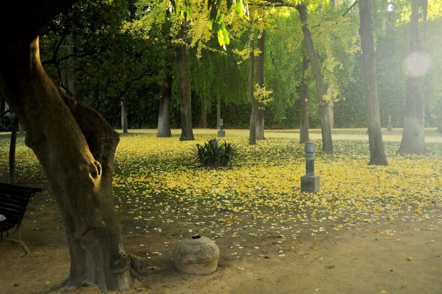 Alcázar of Seville Skip-the-Line Tickets and Guided Tour - Is $44 a fair price?
