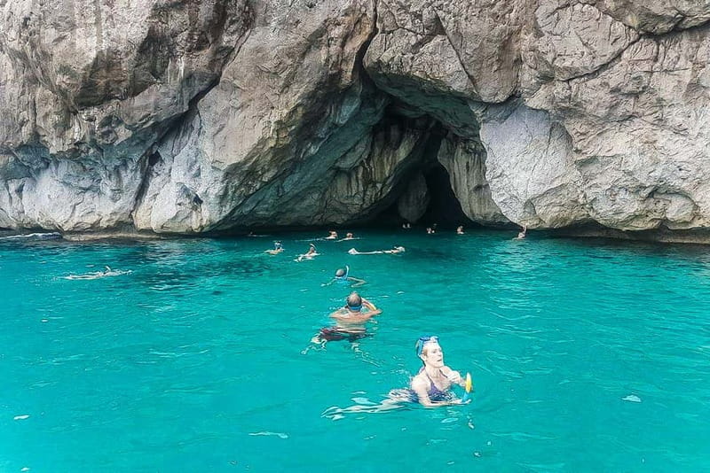 Alcudia: Formentor Beach, Lighthouse Cruise, and Small Group - Cap Pinar: snorkeling in quiet coves