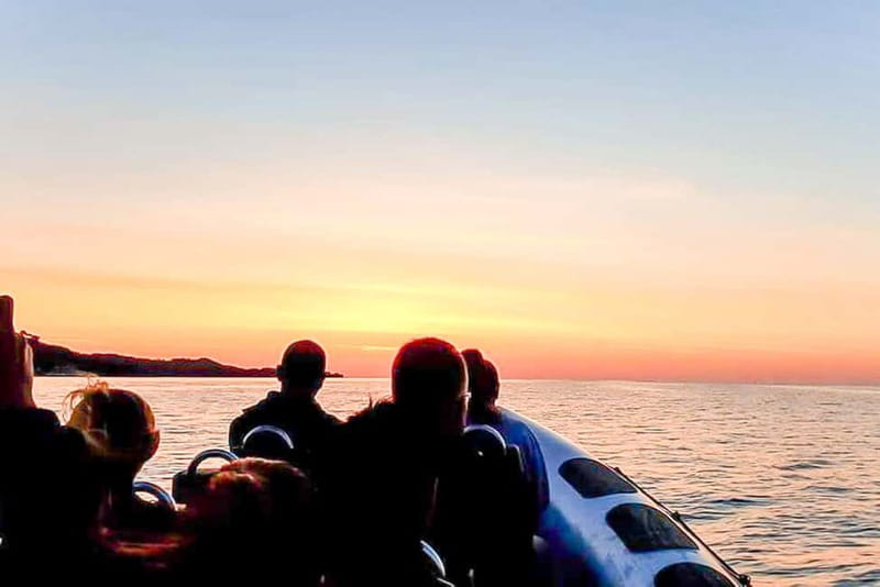Alcudia: Formentor Beach, Lighthouse Cruise, and Small Group - Formentor Beach and Cala Murta