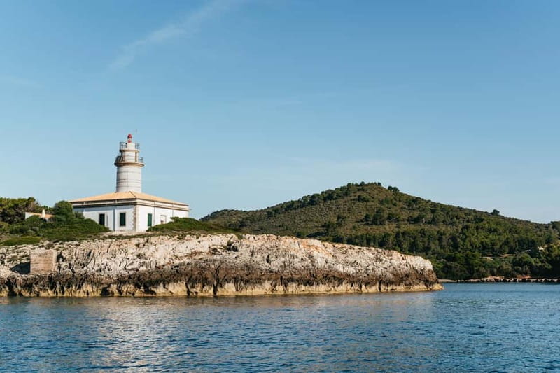 Alcudia or Can Picafort: Dolphin-Watching Cruise - Key points to know before you book