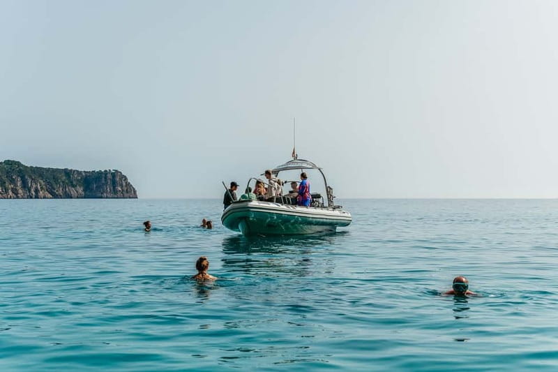 Alcudia or Can Picafort: Dolphin-Watching Cruise - Who will enjoy this trip most