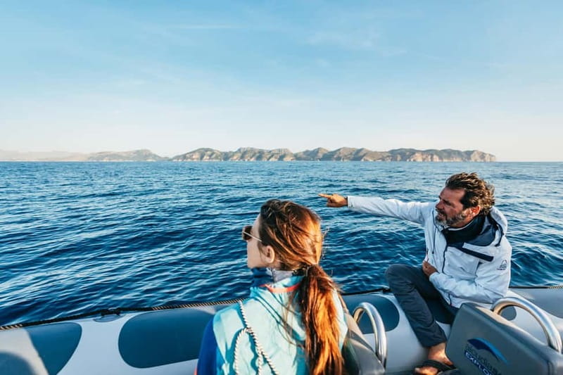 Alcudia or Can Picafort: Dolphin-Watching Cruise - What this Alcudia dolphin cruise is really like