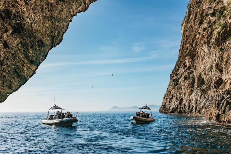 Alcudia or Can Picafort: Dolphin-Watching Cruise - The run to the dolphin grounds
