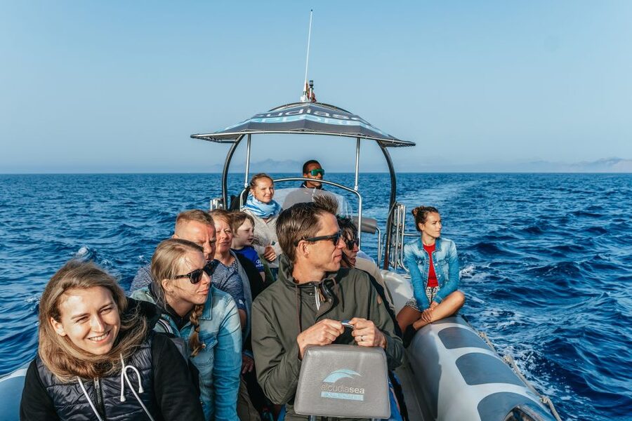 Alcudia or Can Picafort: Dolphin-Watching Cruise - Sea caves along the Mallorcan coast
