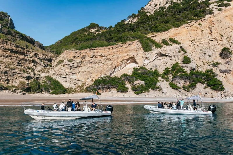 Alcudia or Can Picafort: Dolphin-Watching Cruise - Sunrise or afternoon: choosing your departure