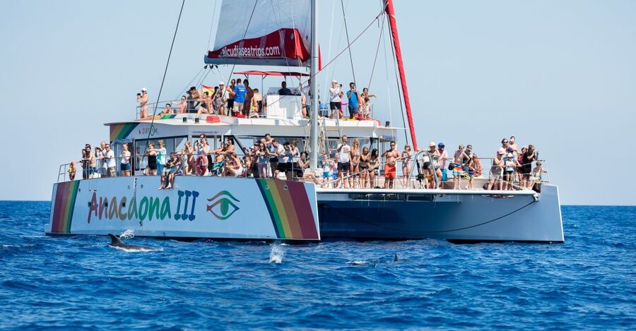 Alcudia: Sunset Catamaran Tour with Dinner and Snorkeling - Key points to know before you book
