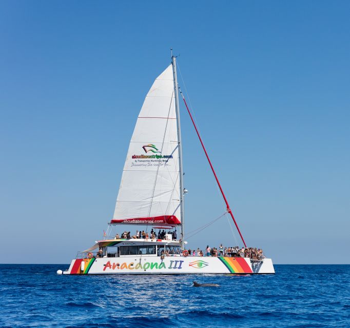 Alcudia: Sunset Catamaran Tour with Dinner and Snorkeling - Should you book it?