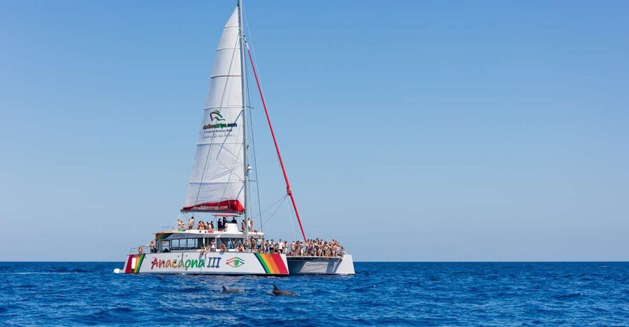 Alcudia: Sunset Catamaran Tour with Dinner and Snorkeling - Sailing across the bay toward a quiet cove