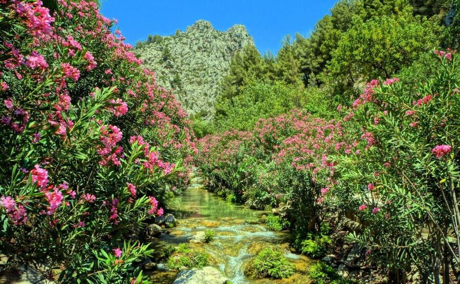 Algar Waterfalls Coach Trip - From Albir & Benidorm - How to use your three hours