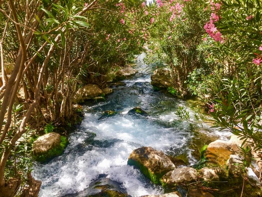 Algar Waterfalls Coach Trip - From Albir & Benidorm - Who should book this trip?