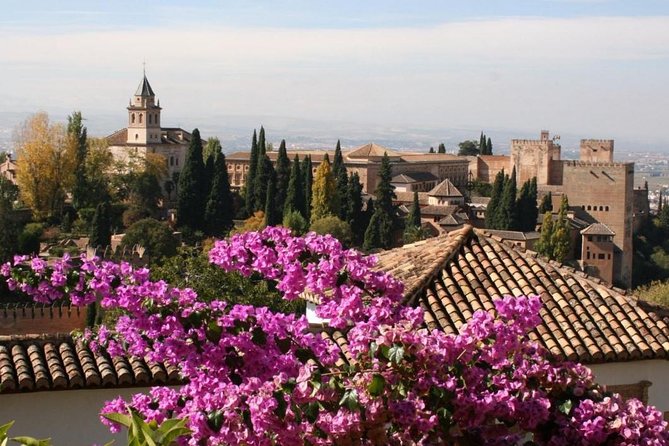Alhambra &Charles Palace Guided Tour with Optional Nasrid Palaces - The Nasrid Palaces and the Hall of Abencerrajes