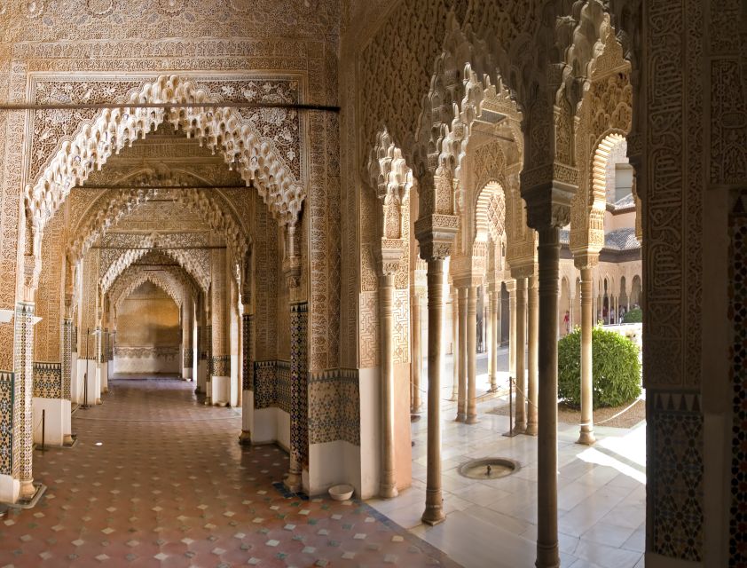 Alhambra Guided Tour with Fast-Track Entry - The Nasrid Palaces: where the tour earns its price
