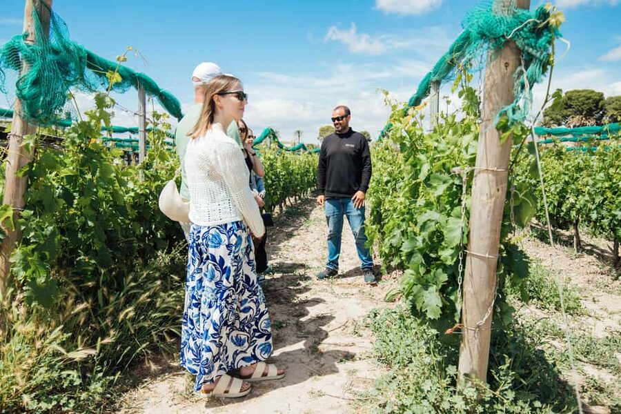 Alicante: Countryside Wine Tour with 4 Tastings - Key points to know before booking
