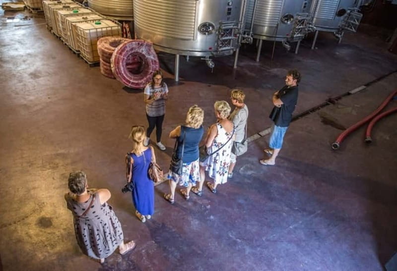 Alicante: Countryside Wine Tour with 4 Tastings - Walking the vineyard and family-run bodega