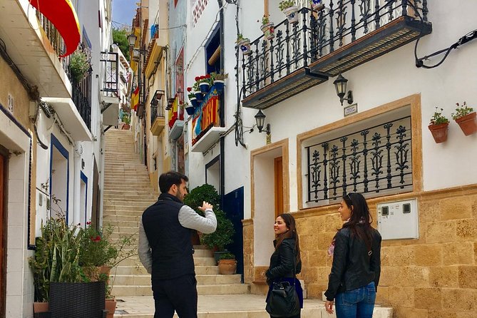 Alicante Historic Small Group Tour with Tapas Tasting - What this Alicante tour really offers
