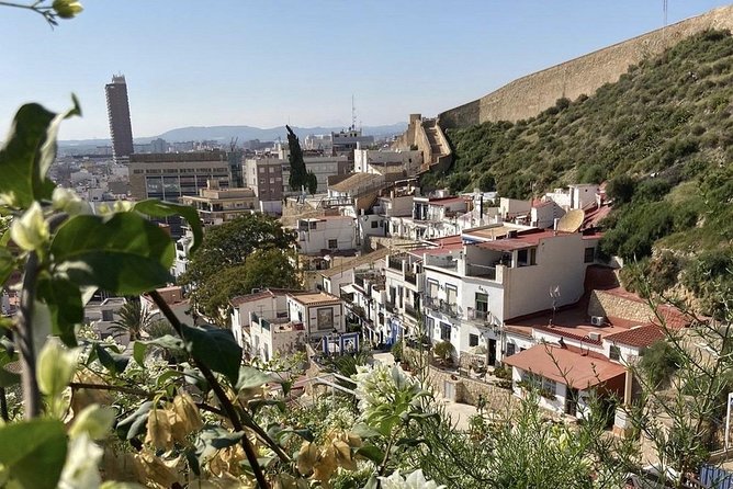 Alicante Historic Small Group Tour with Tapas Tasting - Who should book this Alicante experience
