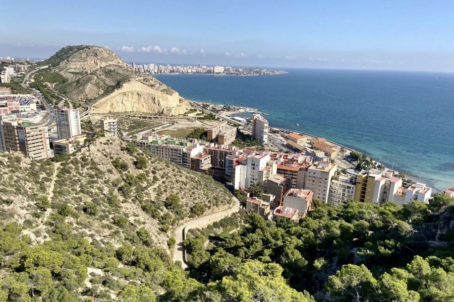 Alicante: Seven Secrets of Alicante Discovery Tour - What the guides do best