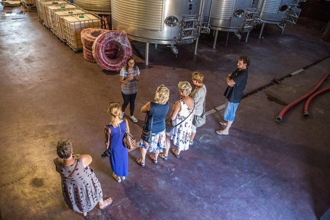 Alicante: Small-Group Countryside Wine Tour with 4 Tastings - Leaving Alicante for the Vinalopó vineyards