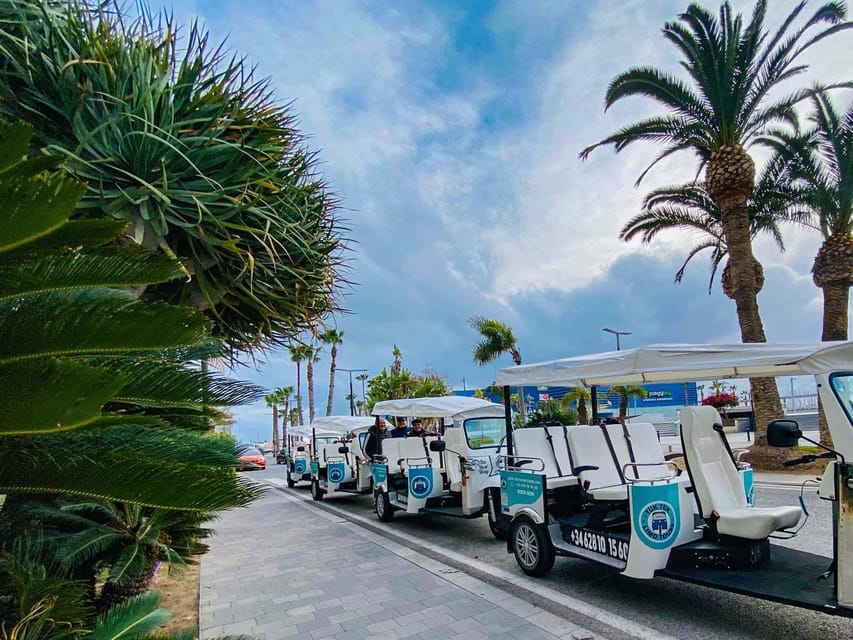Alicante Tuk Tuk Overview Tour - MARQ and Santa Bárbara Castle