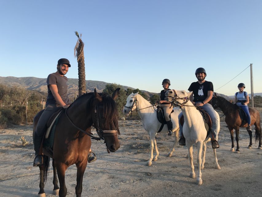 Almeria: Horse Riding Tour Through the Tabernas Desert - Key Points Before You Book