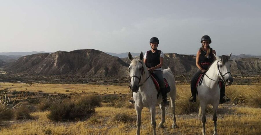 Almeria: Horse Riding Tour Through the Tabernas Desert - Why Tabernas Works So Well on Horseback