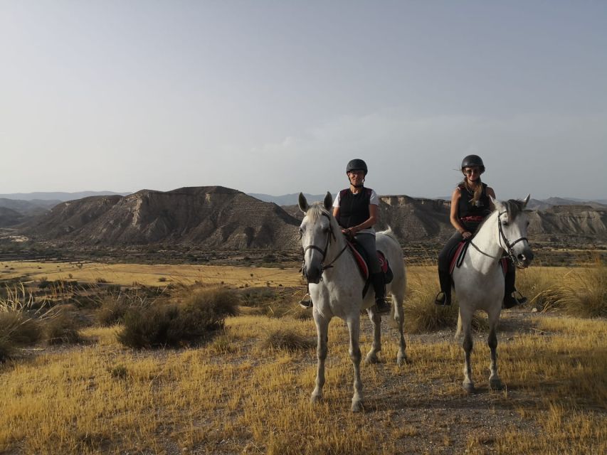 Almeria: Horse Riding Tour Through the Tabernas Desert - The Ride Begins at a Beginner-Friendly Pace